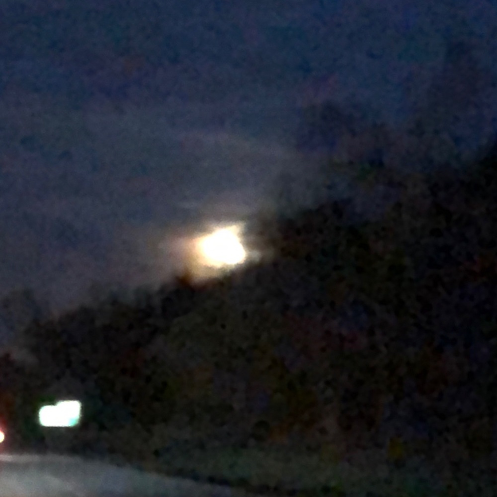 Meet your Posher, Chasen